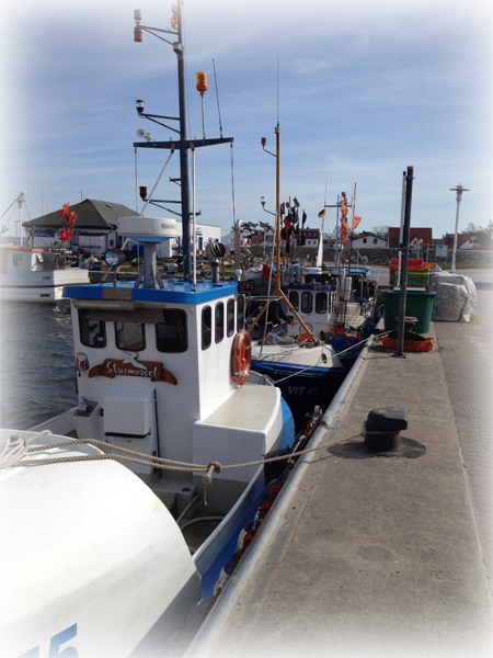 Ankunft auf Hiddensee im Hafen