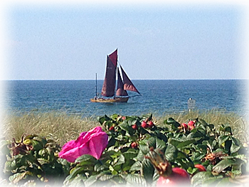 Zeesboot vor Hiddensee